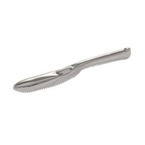 Escamador de Peixe Inox 20cm