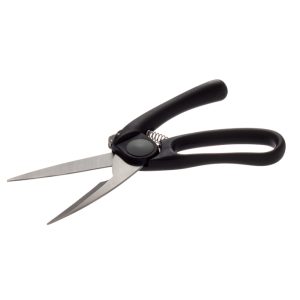 Tesoura P/Aves 24,5cm