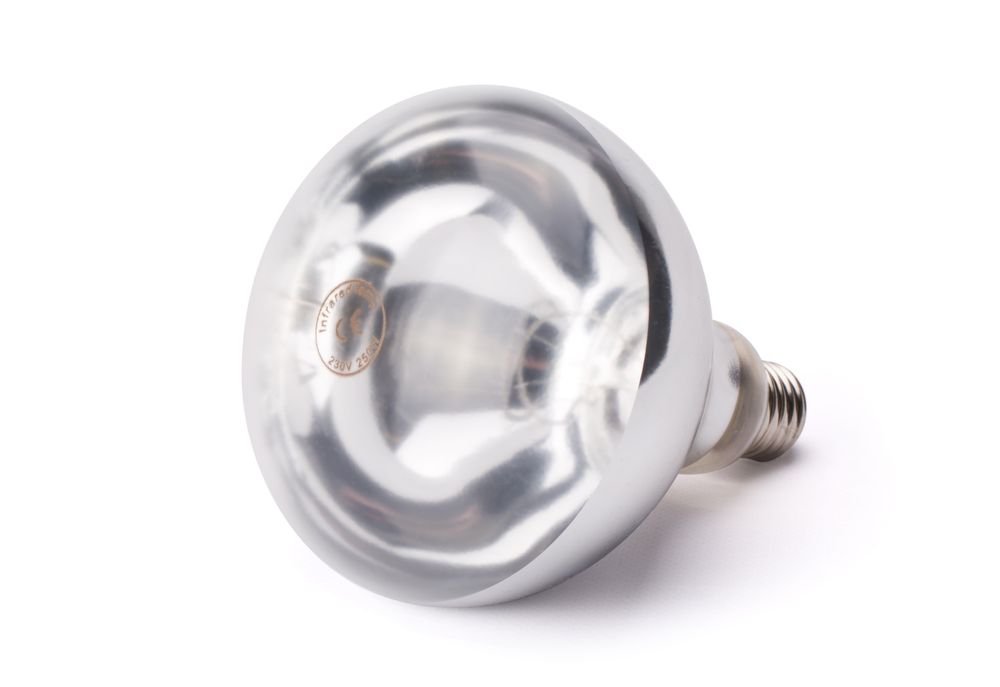 Lâmpada de calor infravermelho, Branco, 230V/250W, ⌀125x(H)170mm - Image 2