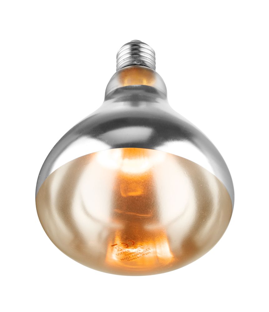 Lâmpada de calor infravermelho, Branco, 230V/250W, ⌀125x(H)170mm - Image 4