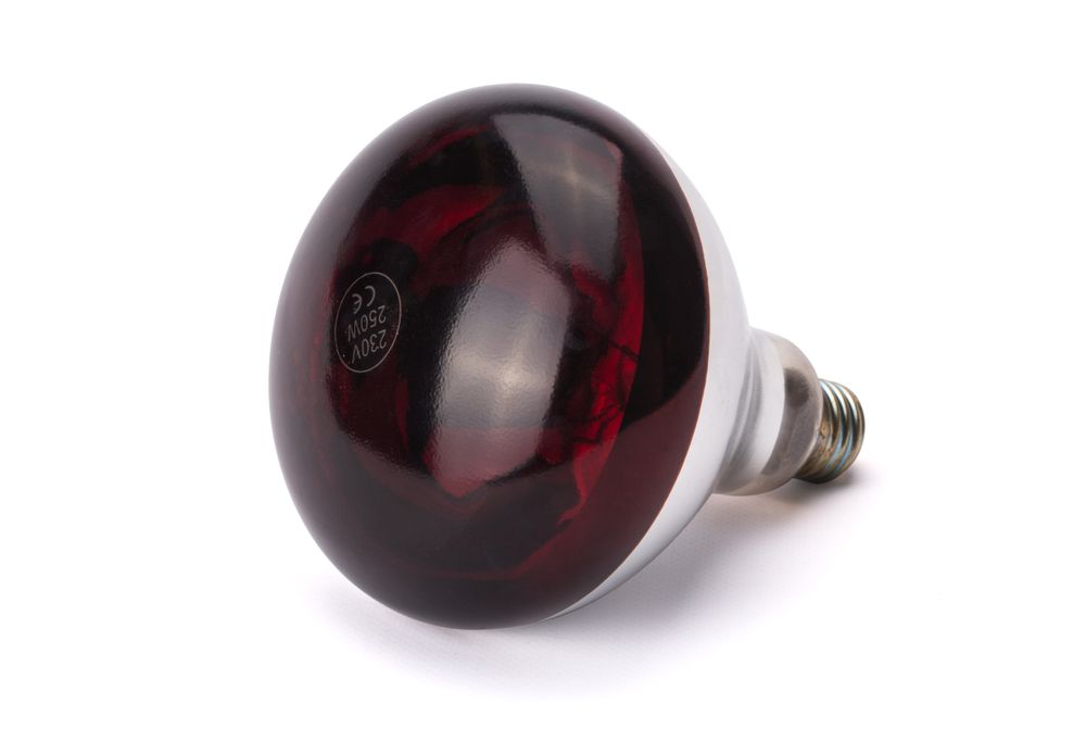 Lâmpada de calor infravermelho, Vermelho, 230V/250W, ⌀125x(H)170mm - Image 3