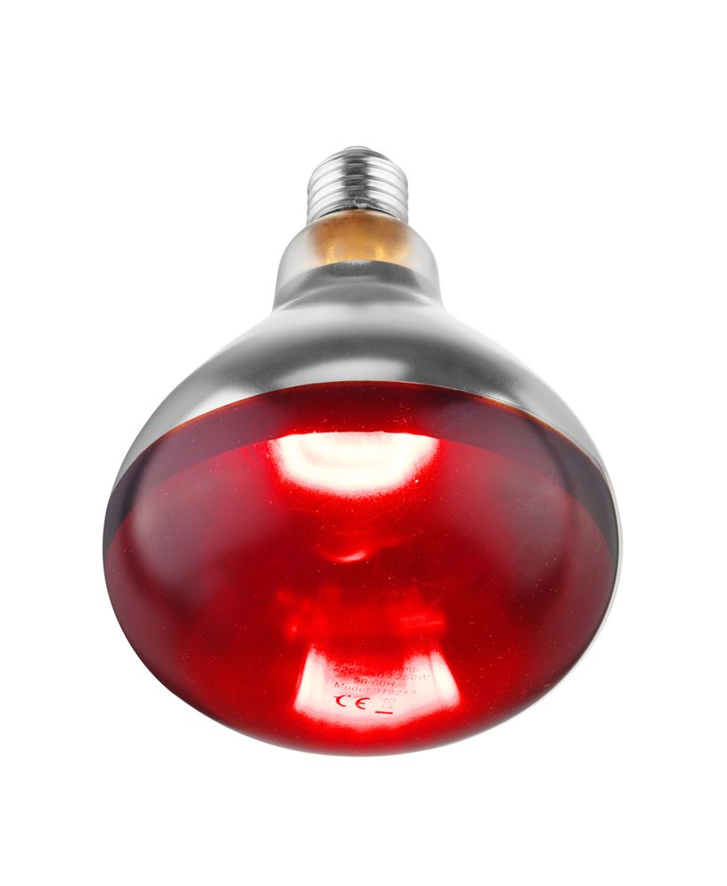 Lâmpada de calor infravermelho, Branco, 230V/250W, ⌀125x(H)170mm - Image 6
